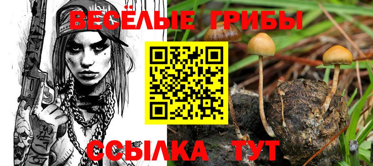 Галлюциногенные грибы Psilocybine cubensis Наро-Фоминск