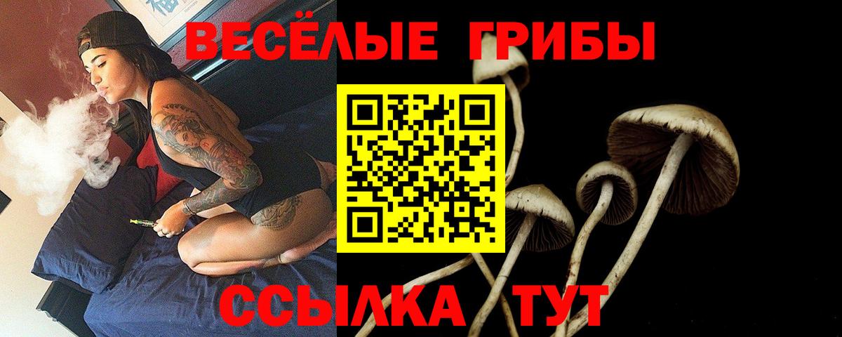 Галлюциногенные грибы Psilocybe  Вход с VPN  Наро-Фоминск 